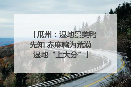 瓜州：湿地景美鸭先知 赤麻鸭为荒漠湿地“上大分”